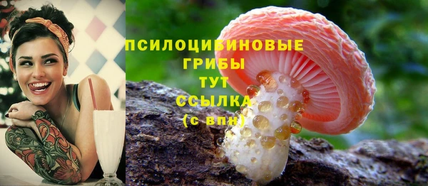 экстази Белокуриха
